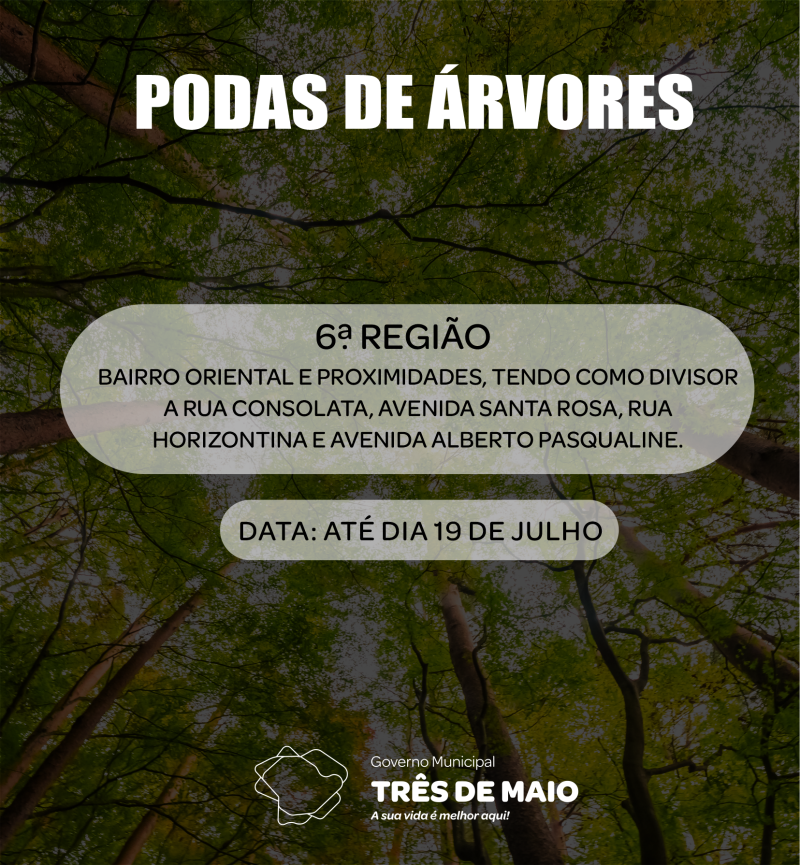 Podas de árvores: sexta região é autorizada a realizar os trabalhos